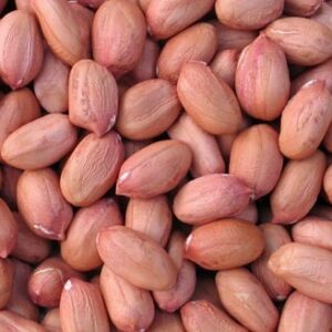 Groundnut நிலக்கடலை