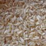 BT Raw Rice 1Kg
