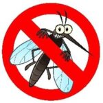 Keep Mosquito Away