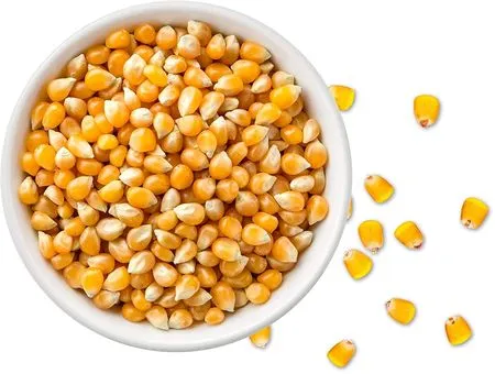 Popcorn Maize Kernels