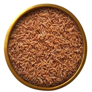 Samba Whole Wheat 1Kg