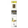 Zed Black Luxury Fresh Pineapple Premium Incense Sticks