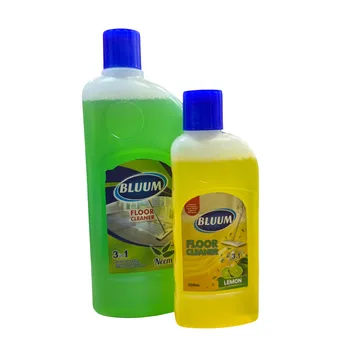 Bluum 3 in 1 Floor Cleaner Combo