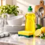 Dishwash Bar